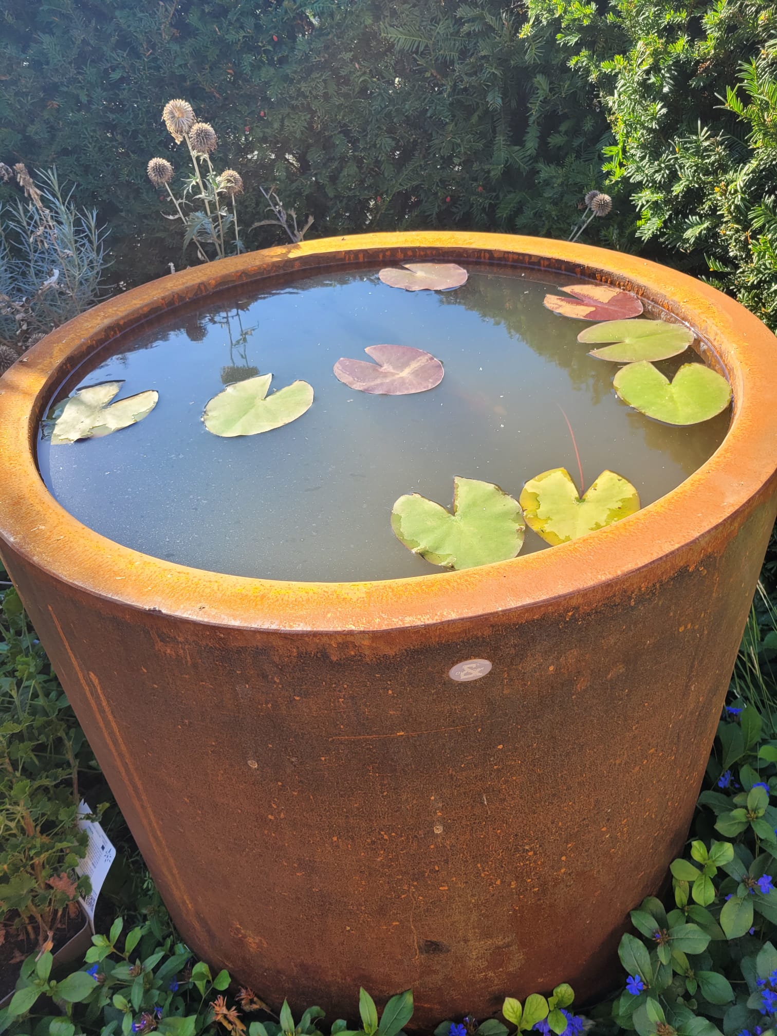 Waterornament in cortenstaal